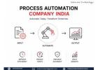process automation company India