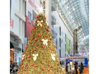 Holiday Loans Ontario: Are They Ever a Good Idea?