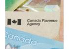 Understanding Consumer Proposal vs Bankruptcy for Tax Debt
