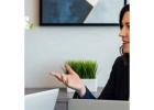 What Services Can a Licensed Insolvency Trustee Provide?