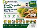 Kharif Crops List in India: Season, Names & Major Crops