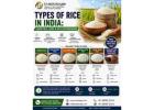 Types of Rice in India: Varieties, Uses & Key Differences 