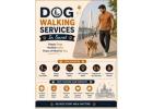Dog Walking Services