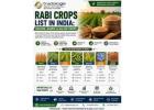Rabi Crops List in India: Season, Names & Major Crops