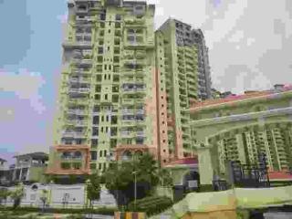Amrapali Sapphire, Sector 45, Noida – Spacious 2, 3 & 4 BHK Homes
