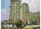  Amrapali Sapphire, Sector 45, Noida – Spacious 2, 3 & 4 BHK Homes