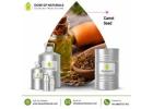 Carrot Seed Oil Manufacturers – Premium Natural Oil Supplier