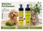 Waterless Pet Shampoo: A Simple Way to Keep Your Pet Clean Without a Bath