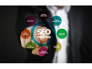 Local SEO Provider for Better Search Visibility and Growth