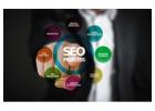 Local SEO Provider for Better Search Visibility and Growth