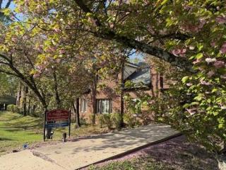 Professional Telehealth Therapy in Princeton Offering Convenient Mental Health Support