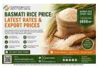 Basmati Rice Price: Latest Rates & Export Prices