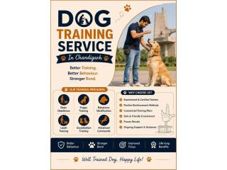 Dog Training Service