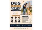 Dog Training Service
