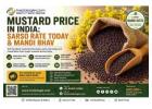 Mustard Price in India: Sarso Rate Today & Mandi Bhav 
