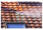 Expert Roof Cleaning and Moss Removal Bristol Services for Long-Lasting Protection