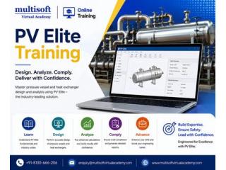 PV Elite Training - Multisoft Virtual Academy