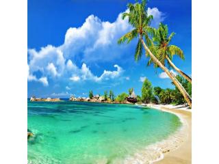Goa Tour Packages – Best Deals, Book Today
