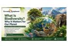 What Is Biodiversity? Why It Matters for Our Planet