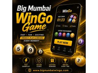 Big Mumbai WinGo Game – Enjoy Fun Online Rounds & Rewards