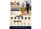 Dog Walking Services