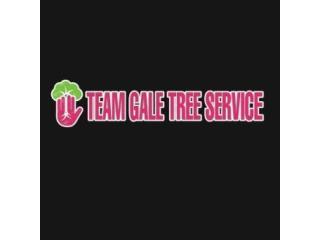 Team Gale Tree Service