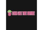 Team Gale Tree Service