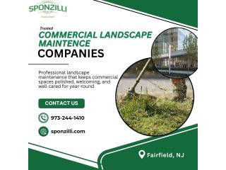 Commercial Landscape Maintenance Companies NJ