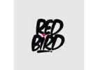 Custom Graphic Design Services Raleigh, NC