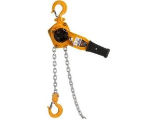 Industrial Air Chain Hoists Manufacturers | MIT Hoist & Crane