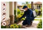 Reliable Pest Control in Orange County for a Pest Free Home
