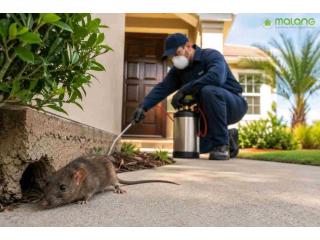 Reliable Rodent Control Irvine for a Pest Free Home