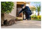 Reliable Rodent Control Irvine for a Pest Free Home