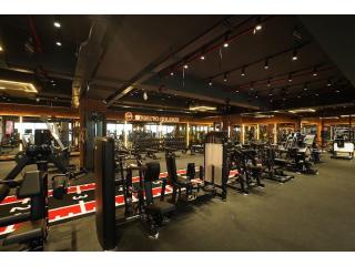 Best Gym in Santacruz West for Strength, Weight Loss & Personal Training – Why Not Fitness