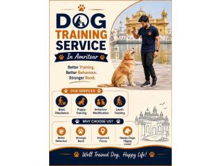 Dog Training Service