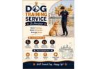 Dog Training Service