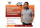 SEO Expert in Delhi | Freelance SEO Consultant