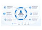 Transform XML Data into EDIFACT for Seamless B2B Communication