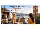 New Home, Familiar Paws: Packers and Movers in Kottayam for a Comfortable Pet Relocation  