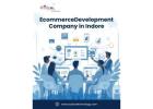 Best Ecommerce Development Company in Indore for Brands