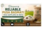 Discover Reliable Pusa Basmati Rice Suppliers in India