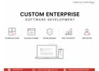 Custom enterprise software development 