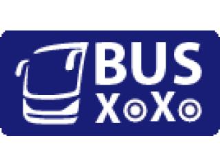 Experience Mini Group Travel Across with MiniBuse Rental