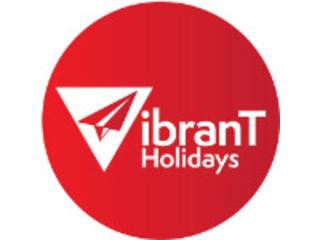 Vibrant Holidays – Travel Agency & Holiday Packages in India