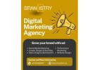 PPC Service to Turn Paid Search Clicks into High-ROI Revenue | Brandistry