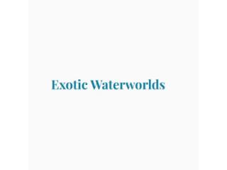 Exotic Waterworlds