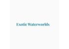 Exotic Waterworlds