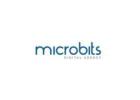 Trusted Creative Agency in Lebanon - Microbits 