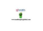 Fresh Growing Ideas With Planter Bags