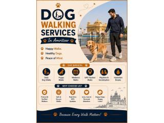 Dog Walking Services